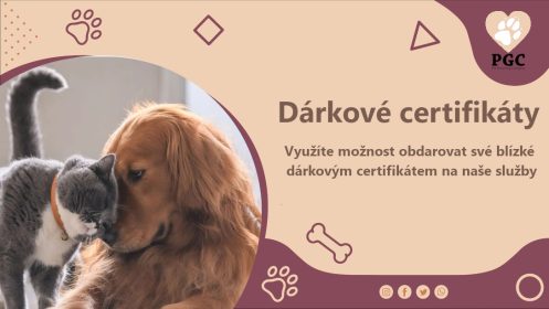 Dárkové certifikáty